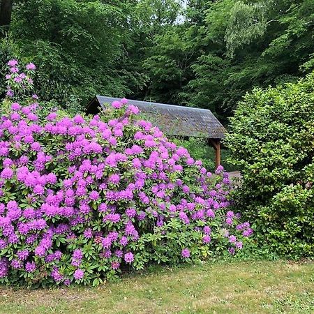 "La Homerie" Chaumiere En Pleine Nature Savigny-en-Sancerre المظهر الخارجي الصورة