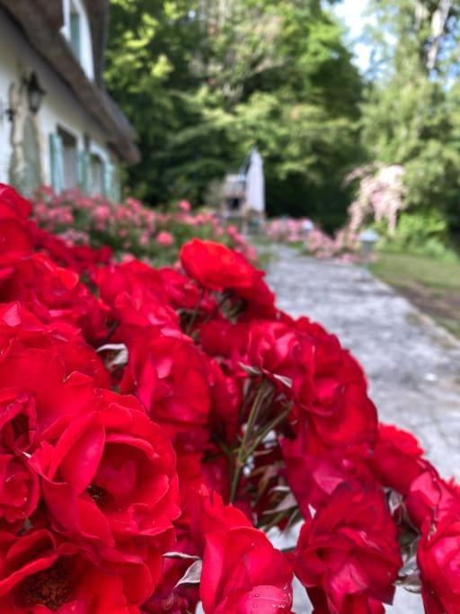 "La Homerie" Chaumiere En Pleine Nature Savigny-en-Sancerre المظهر الخارجي الصورة